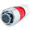 DH-20-J05PE-03-001, 5-Pin Female Cable Mount Waterproof Connector