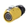 LP-20-J12PE-01-021, 12-Pin Female Cable Mount Waterproof Connector