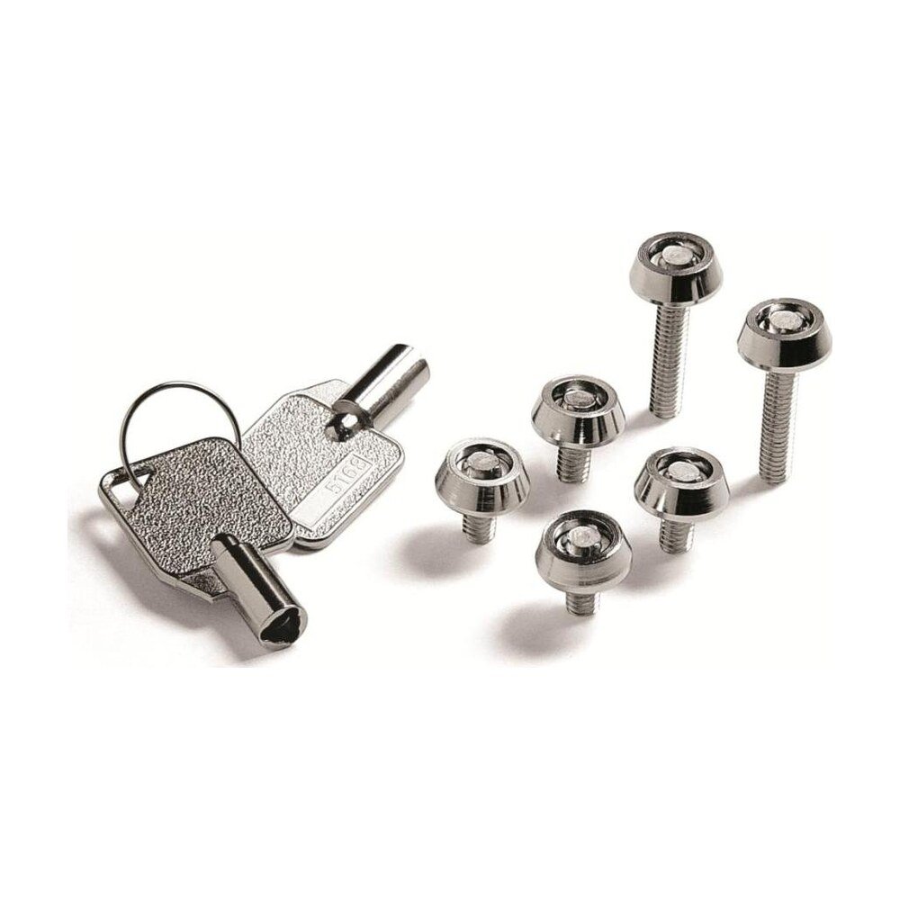 Anti-theft Screws for Cotytech Monitor Mounts - LK-42
