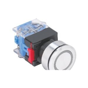 MR-LAS0-K30-EA-PB 30 mm Push Button - Flat Metal Head, Illuminated Transparent Ring