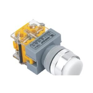 MR-LAS0-Q-G 22 mm Push Button - Q Long Head, Can Be Illuminated