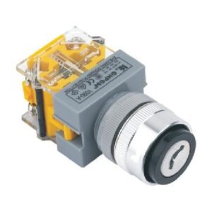 MR-LAS0-Q-Y 22 mm Key-Lock Switch - Q Head, 2 or 3 Position