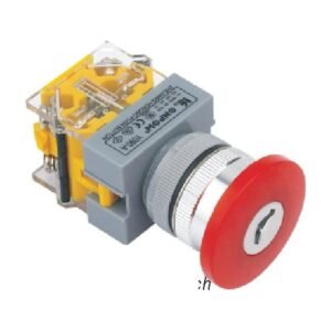 MR-LAS0-Q-YM 22 mm Mushroom Key-Lock Switch - Ø40 mm Q Head