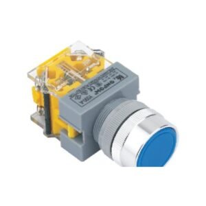 MR-LAS0-Q 22 mm Push Button - Q Flat Head, Can Be Illuminated