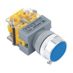 MR-LAS0-Q 22 mm Push Button - Q Flat Head, Can Be Illuminated
