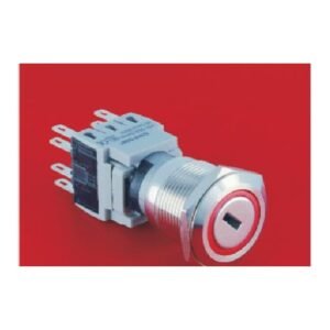 MR-LAS1-BGQ-Y 19 mm Key Switch - 2 or 3 Position, 1 to 3 Changeover Contacts
