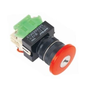 MR-Y090E-YM 22 mm Mushroom Key-Lock Switch - Economy Type