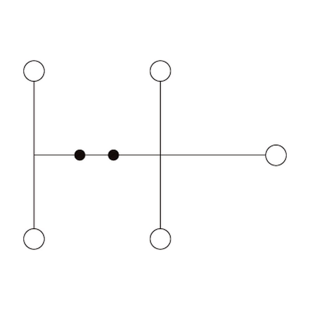 DKD10-P001 — Potential collective Terminal Block, Screw Connection /Push-in Design