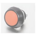 Push Button Switches